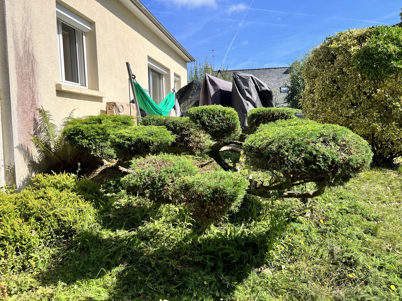 Un jardin repris en main à Etables-sur-mer